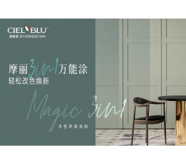 CIELOBLU | 摩麗3IN1萬能涂 ，輕松改色換新